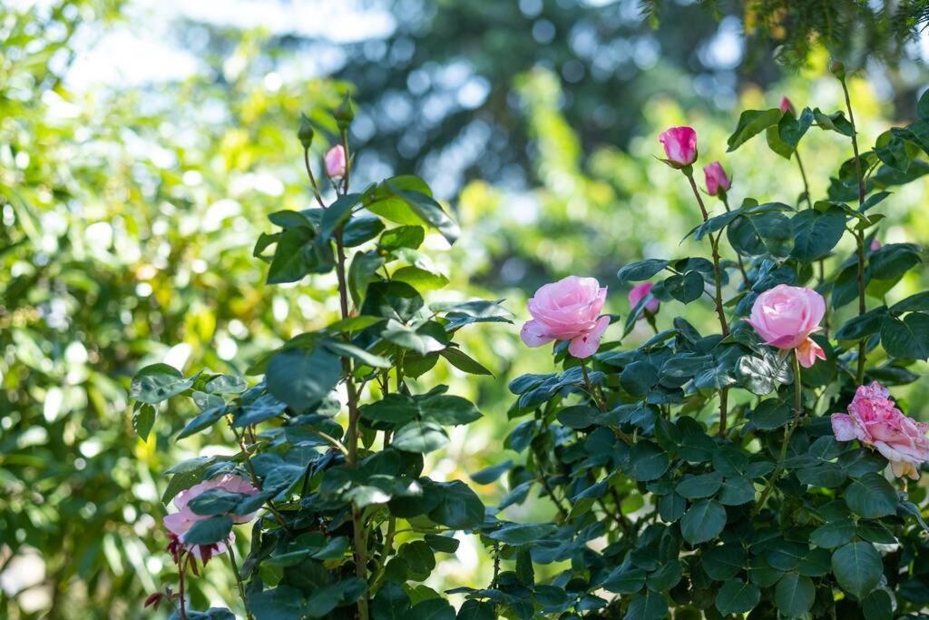 Bois Et Chiffons Famille Et Confort Siorac-en-Périgord Екстериор снимка
